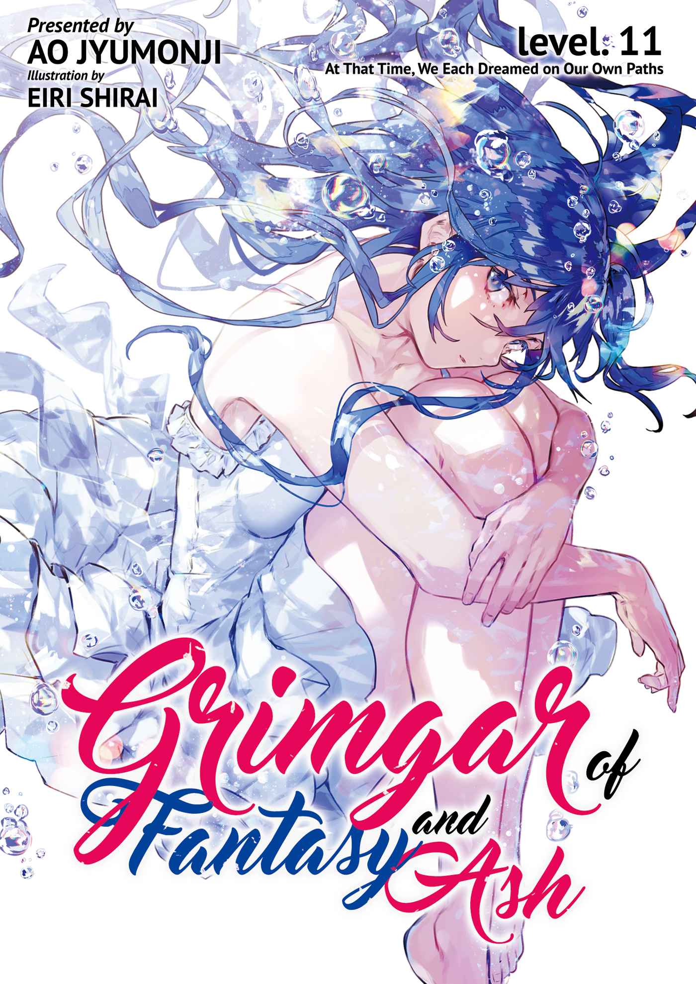 Grimgar of Fantasy and Ash (Light Novel) Vol. 11